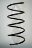 SPIDAN 85196 Coil Spring